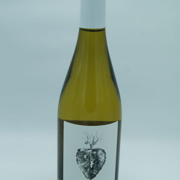 Moscatell Les Freses